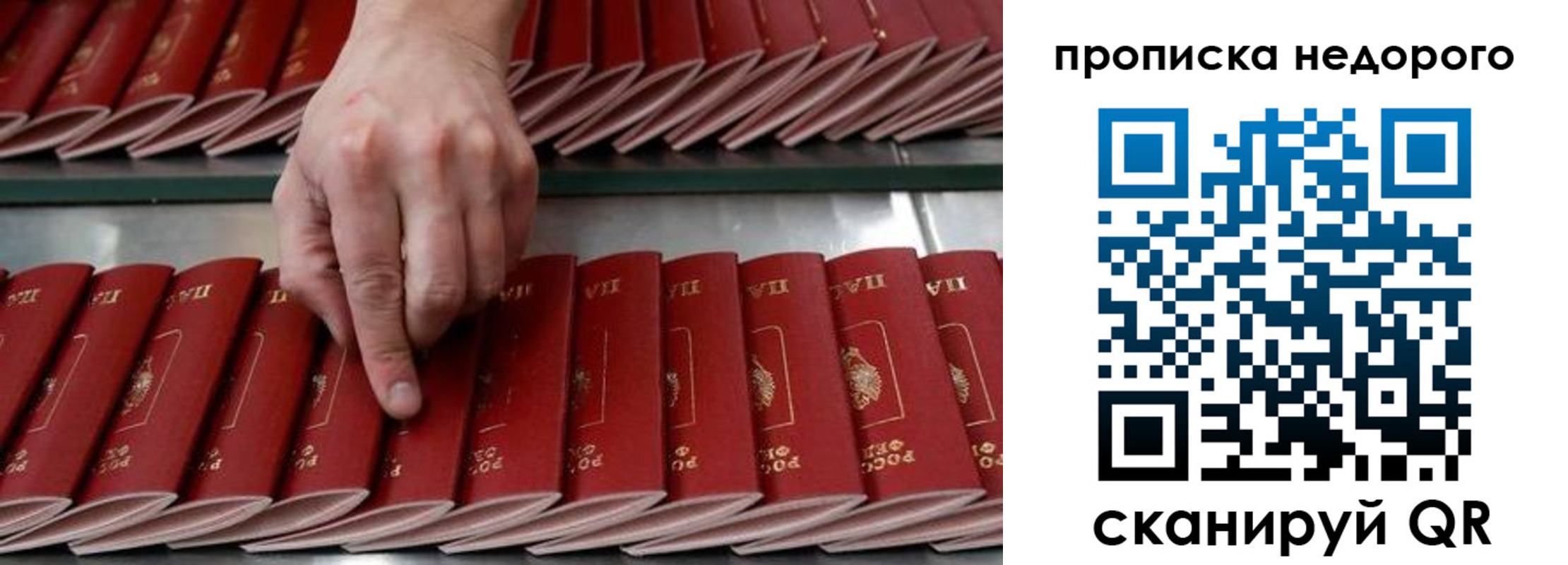 прописка регистрация в Павловском Посаде